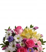 Love & Romance Flowers