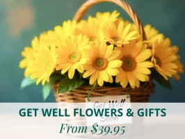 Get Well Flowers & Gifts