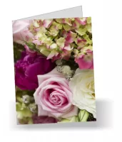 Greeting Cards