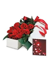 Popular Add-on Bundles