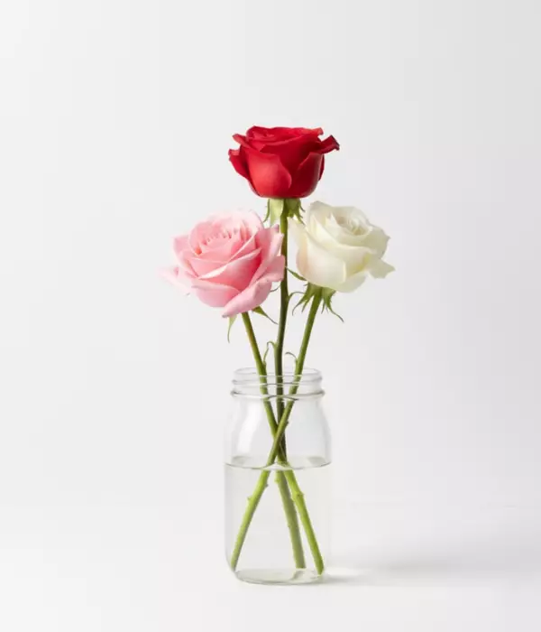 Assorted Roses in Mason Jar