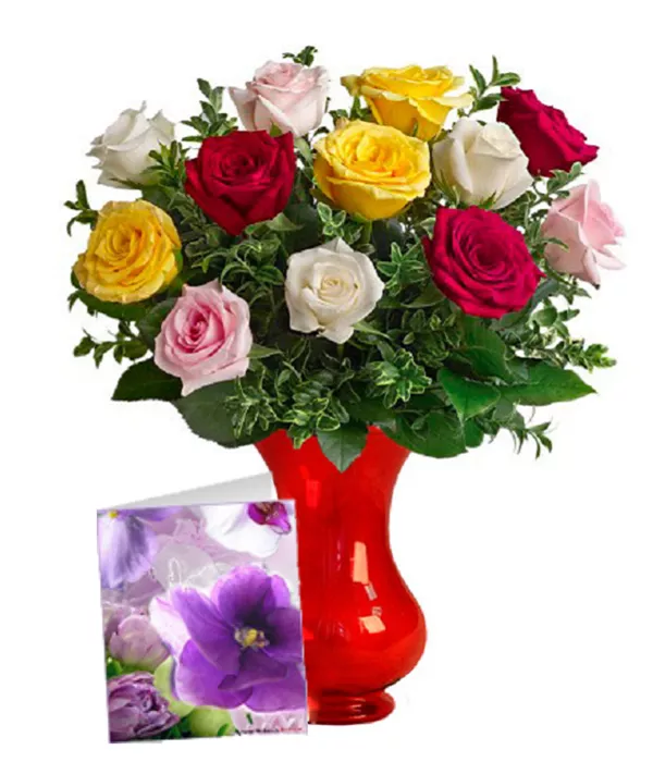 Dozen Assorted Roses & Card