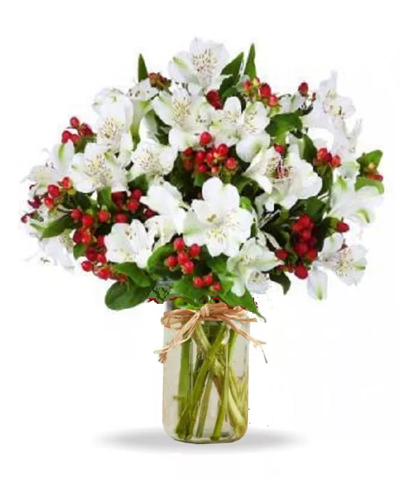 50 Blooms of Holiday Alstroemeria in Mason Jar