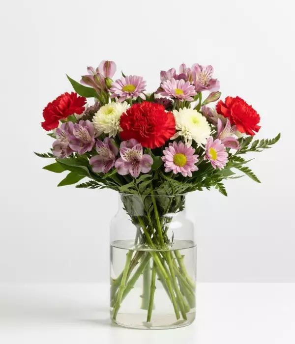 Designer Collection I