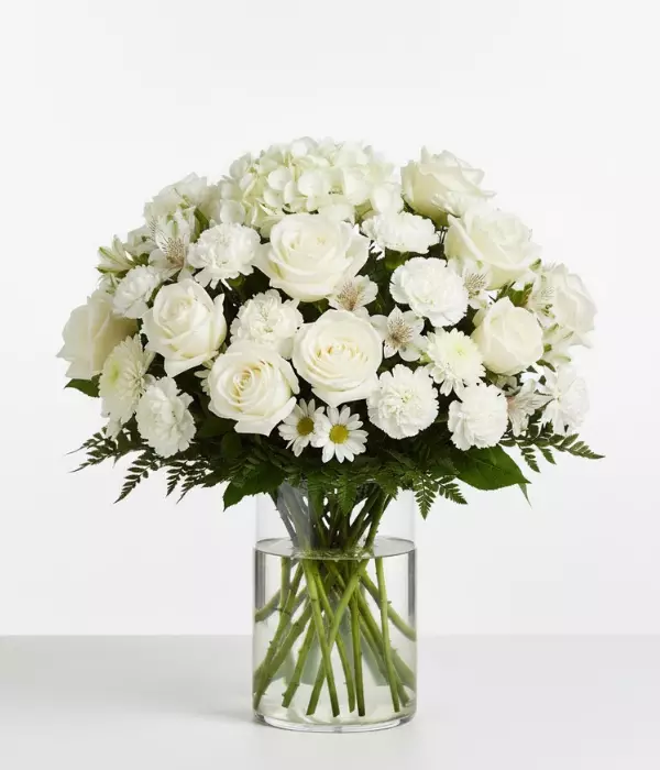 Designer Sympathy Collection III