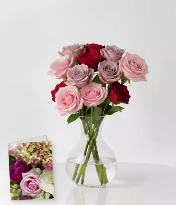 One Dozen Assorted Roses, Vase & Card Combo