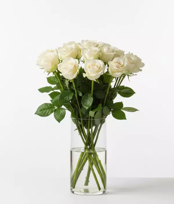 One Dozen Long Stem White Roses
