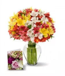 name: 100 Assorted Peruvian Lilies