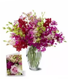 name: 100 Blooms of Orchids I