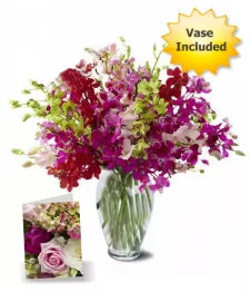 name: 100 Blooms of Orchids II