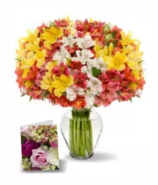 name: 150 Blooms of Peruvian Lillies