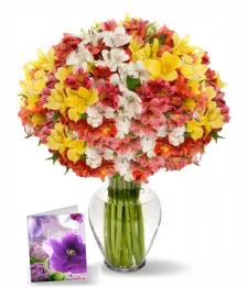 name: 200 Blooms of Peruvian Lilies