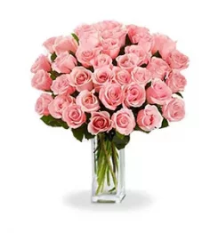 name: Three Dozen Long Stem Pink Roses