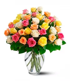 name: Three Dozen Long Stem Assorted Roses