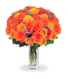 name: 36 Premium Orange Roses