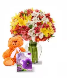 name: 50 Blooms of Peruvian Lilies Set