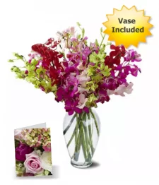 name: 50 Blooms of Orchids II