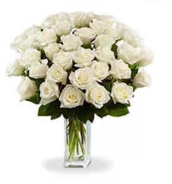 name: Three Dozen Long Stem White Roses