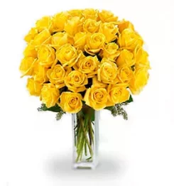 name: Three Dozen Long Stem Yellow Roses