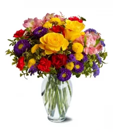 name: Designer Collection Anniversary II