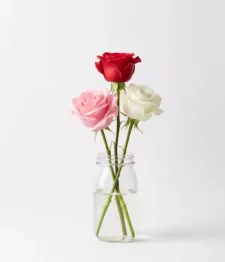 name: Assorted Roses in Mason Jar