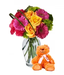 name: Teddy Bear Beauty