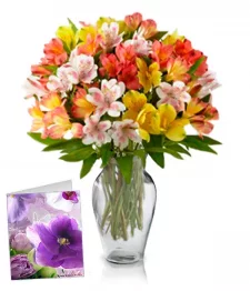 name: 50 Blooms of Peruvian Lilies