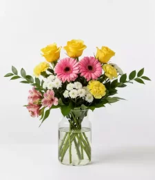 name: Birthday Designer Collection I