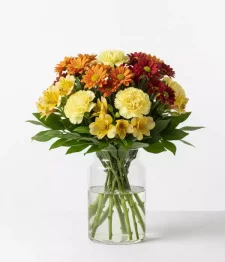 name: Colour Me Yours