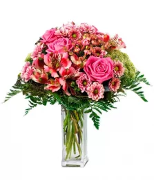 name: Blooming Blossoms