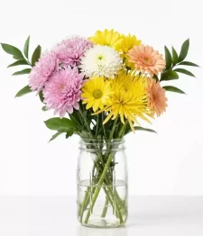 name: Daisy Daze Bouquet in Mason Jar