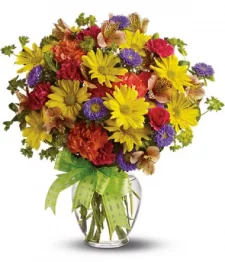 name: Birthday Designer Collection II