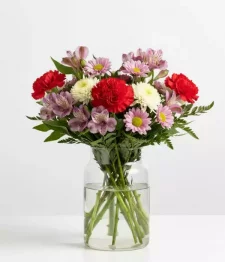 name: Designer Collection I