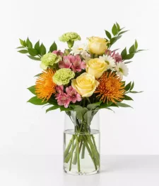 name: Designer Collection II