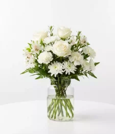 name: Designer Sympathy Collection I