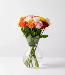 name: Dozen Long Stemmed Assorted Roses