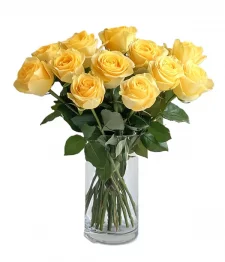 name: Dozen Long Stemmed Yellow Roses