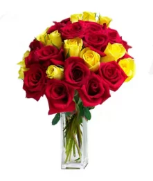 name: 24 Long Stemmed Red and Yellow Roses