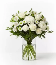 name: Fairest Sentiments