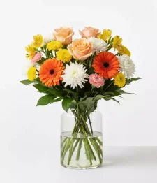 name: Garden Colours