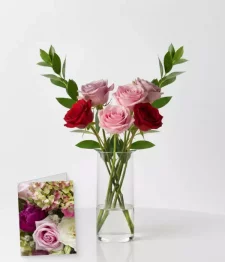 name: Half Dozen Long Stem Assorted Roses