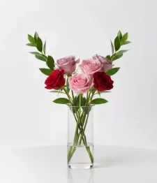 name: Half Dozen Long Stem Assorted Roses