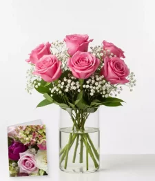 name: Half Dozen Long Stemmed Pink Roses