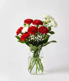 name: Holiday Splendour