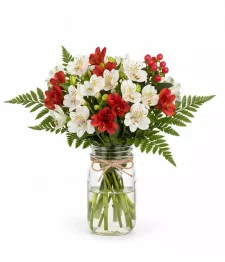 name: 100 Blooms of Holiday Alstroemeria in Mason Jar