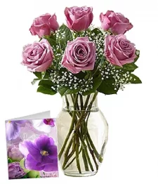 name: Gorgeous Lavender Roses I