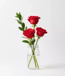 name: Radiant Roses in Mason Jar