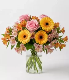 name: Shining Sunrise