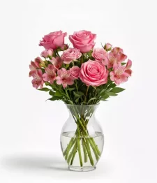 name: Sublime Sentiments