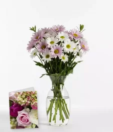 name: Sweet Blossoms Collection II